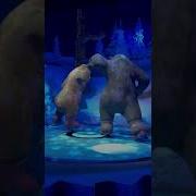 Игрушки Маша И Медведь Фокус Покус Труляля Toys Masha And Bear Hocus