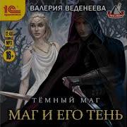Владимир Поселягин 3 Сокрушитель