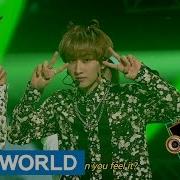 슈퍼주니어 촉이와
