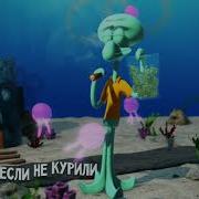 Сквиртдвард Totpoc Ashy 43 Klimonglue