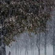 Хороводил Снег С Дождём