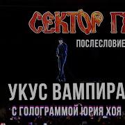 Сектор Газа Про Ковид
