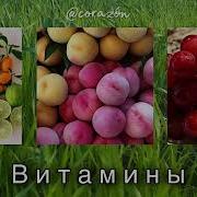 Самблиминал Корзон