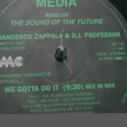 F Zappala Dj Professor We Gotta Do It