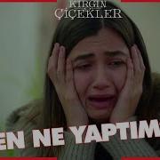 Гунчахои Захми Кисми 239
