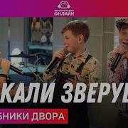 Волшебники Двора Плакали Зверушки Live На Детском Радио