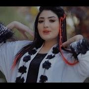 Латифа Азизи