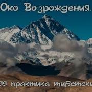 Питер Кэлдер Книги