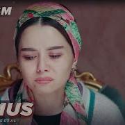 Узбек Сериял Номус 105