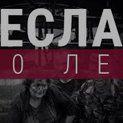 15 Лет Со Дня Теракта В Беслане Как Это Было