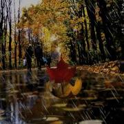 Осень Раскрасавица Появилась В Городе