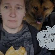 Завтра Не Успею