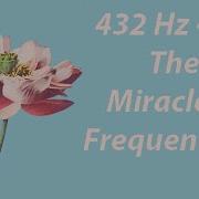 Lucy Herzig Meditative Make All Wishes Come True