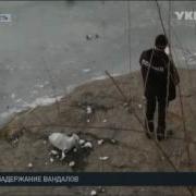 Полиция Задержала Вандалов