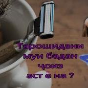 Хочи Мирзо6 Тарошидани Муйи Бадан