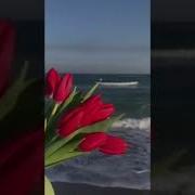 Море Бушует Играя