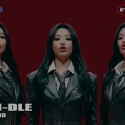 Polaroid Instrumental G Idle
