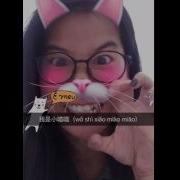 Xiao Miao Miao 小喵喵