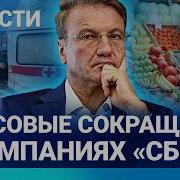 Новости Массовые Сокращения В Сбере