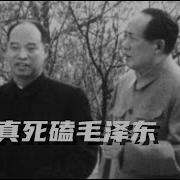 盐碱地反贼聊历史 文化大革命132