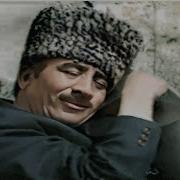Ədalət Nəsibov Sərli