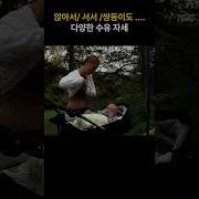 미오 모유