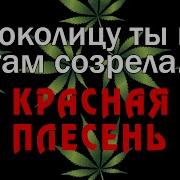 Красная Плесень Хапай Косяк