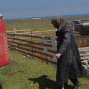 Дикая Патя И Гр
