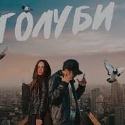 Голуби 2024 Песня