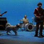 The Sweater Song Weezer