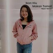 Lkan Hiu Makan Tomat