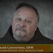Reflections F R David