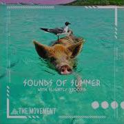 The Movement Sounds Of Summer