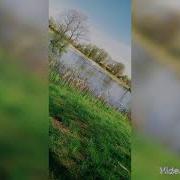 Мышка Вышла Погулять Толстой