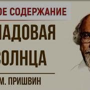 Кладовая Солнца Краткое Содержание