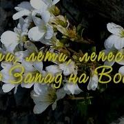 Лети Лети Лепесток 2 Вершины Казбека С Севера И Траверс Эльбруса С Запада На Восток