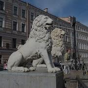 Гривастые Львы Песня