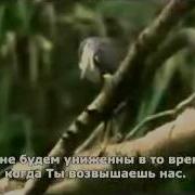 Субханака Раббана