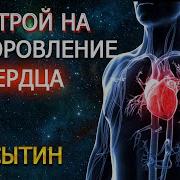 Сытин Здоровое Сердце