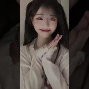 냥뇽녕냥 합성