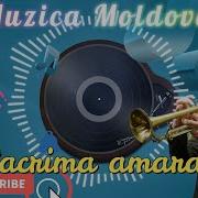 Lacrima Amară La Trompetă Hit 2024 Muzică Moldovenească Disco La Trompetă Cover 2024 New