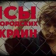 Псы С Городских Окраин
