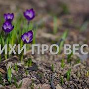 Сборник Русских Стихов