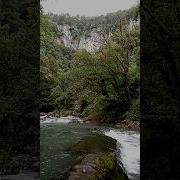 Абхазия Самшитовый Лес