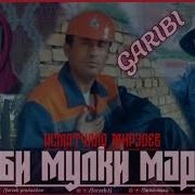 Сами Лучши Гариби