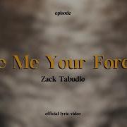 Give Me Your Forever Zak