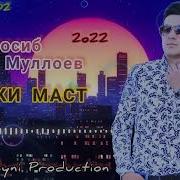 Кабки Масти Масти Маст
