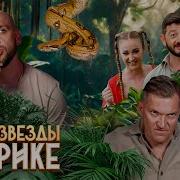 Звёзды В Африке