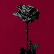 Blackbear Idfc Acoustic 1 Hour
