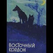 Восточный Кордон Книга 2